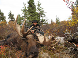 Картинка мужчины unsort охотник лось