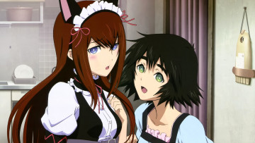 Картинка аниме steins gate девушки