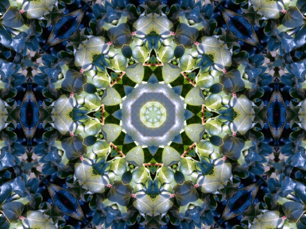 Обои картинки фото 3д, графика, fractal, фракталы, абстракция, узор, цвета