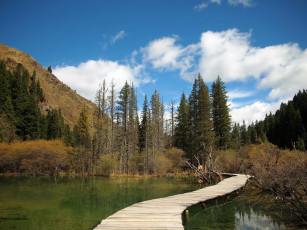 Картинка китай сычуань willow shade lake природа реки озера лес дорожка озеро