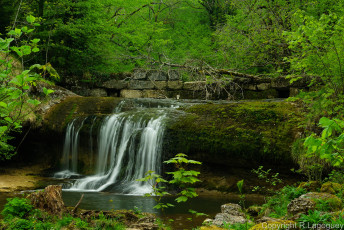 Картинка природа водопады водопад лес река