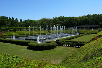 Картинка природа парк фонтаны кусты красивый ретро автомобиль