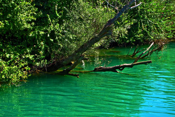 Картинка турция анталия kursunlu park природа реки озера река