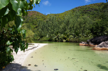 Картинка сейшелы природа реки озера река растения горы