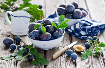 Картинка еда персики сливы абрикосы