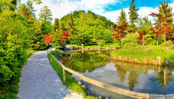 Картинка словения камник ботанический сад природа парк деревья кусты водоем