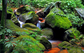 Картинка природа реки озера мох камни ручей