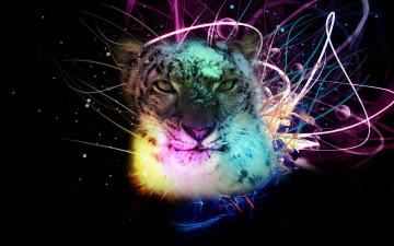 Картинка разное компьютерный дизайн графика тигр