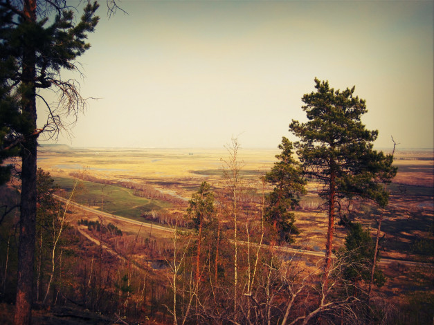 Обои картинки фото окраина, Якутска, природа, пейзажи, деревья, дорога, якутск