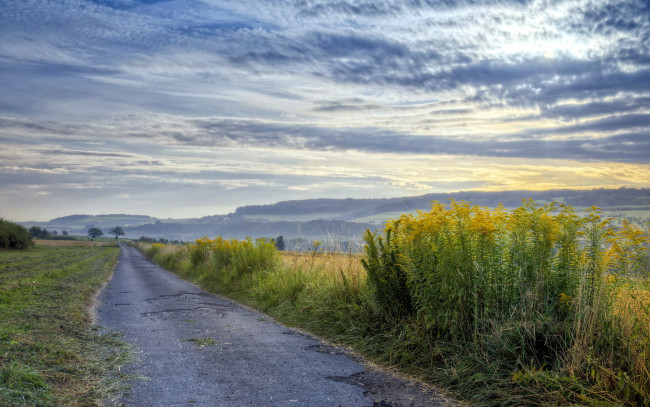 Обои картинки фото природа, дороги, поле, дорога