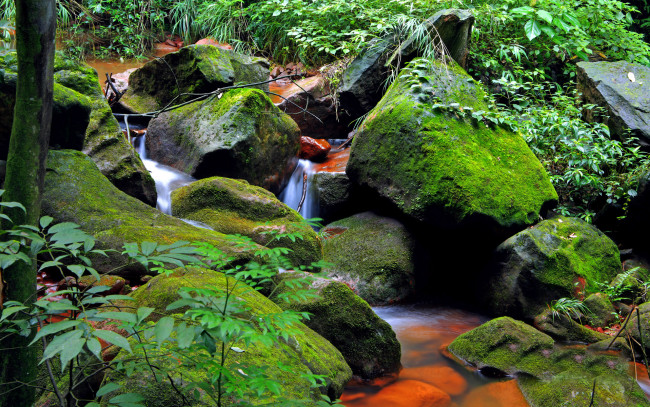 Обои картинки фото природа, реки, озера, мох, камни, ручей