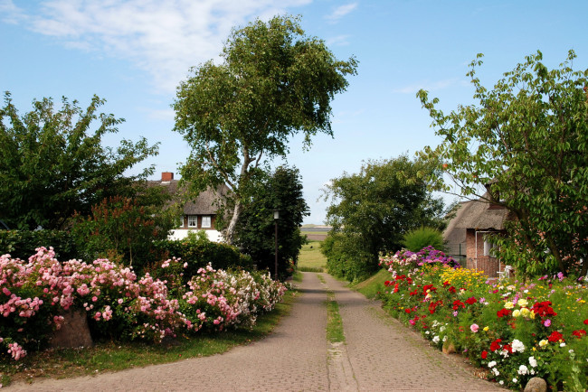 Обои картинки фото германия, нордорф, города, улицы, площади, набережные, улица, дома, сады