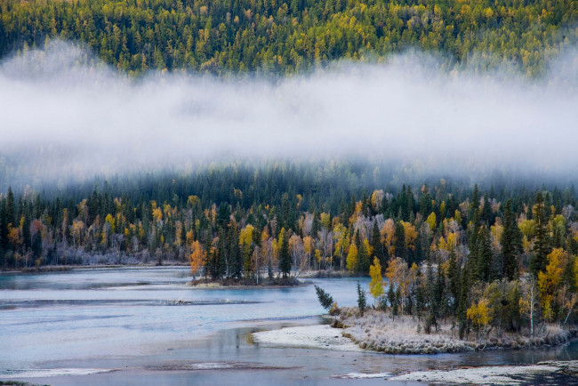 Обои картинки фото природа, реки, озера, река, зима, лес