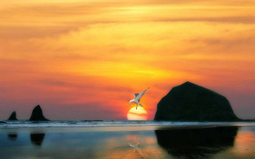 Картинка 3д графика nature landscape природа чайка скалы тучи океан