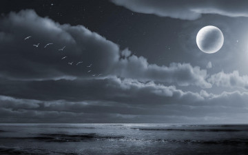 Картинка 3д графика sea undersea море тучи планета горизонт океан птицы