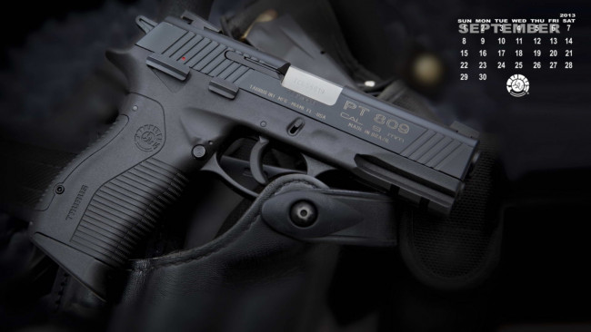Обои картинки фото календари, оружие, пистолет