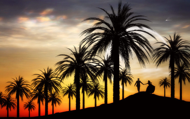 Обои картинки фото 3д, графика, atmosphere, mood, атмосфера, настроения, силузты, заря, пальмы, тучи