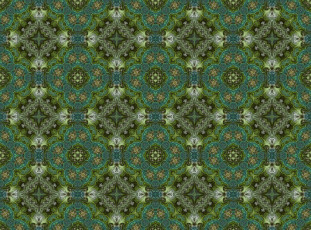 Картинка 3д+графика фракталы+ fractal узор фон цвета