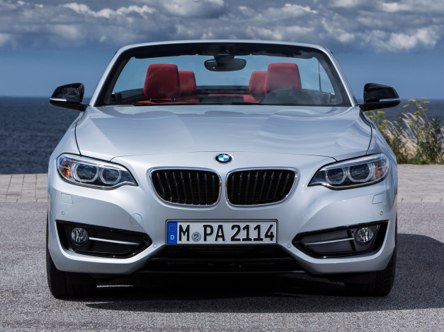 Обои картинки фото автомобили, bmw, f23, line, sport, cabrio, 228i, серый, 2014г