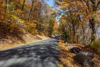 Картинка природа дороги тракт