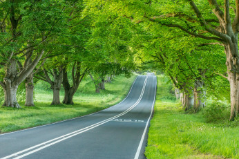 Картинка природа дороги тракт