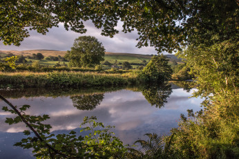 Картинка природа реки озера лес река