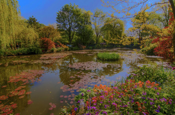 Картинка природа реки озера река лес