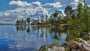 Картинка города -+пейзажи лес река