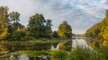 Картинка природа реки озера река лес