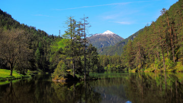 Картинка природа реки озера река лес