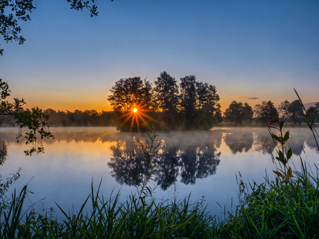 Обои картинки фото природа, реки, озера, река, лес