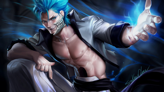 Обои картинки фото аниме, bleach, гимджоу