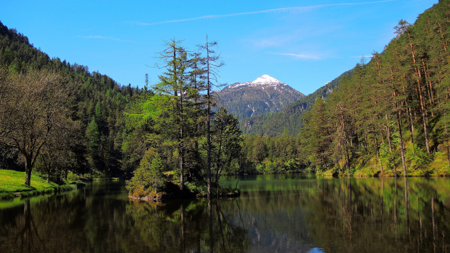 Обои картинки фото природа, реки, озера, река, лес