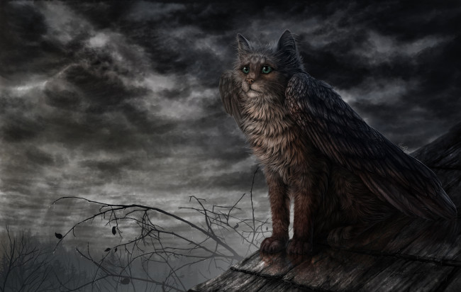 Обои картинки фото фэнтези, существа, крыша, крылья, кот, существо, иной, мир