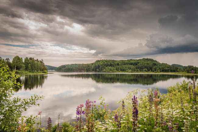 Обои картинки фото природа, реки, озера, река, лес