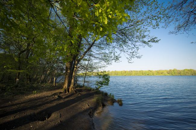 Обои картинки фото природа, реки, озера, река, лес