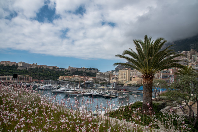 Обои картинки фото корабли, порты ,  причалы, яхта