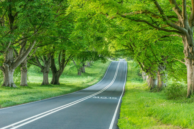 Обои картинки фото природа, дороги, тракт