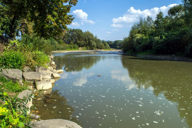 Обои картинки фото природа, реки, озера, деревья, камни