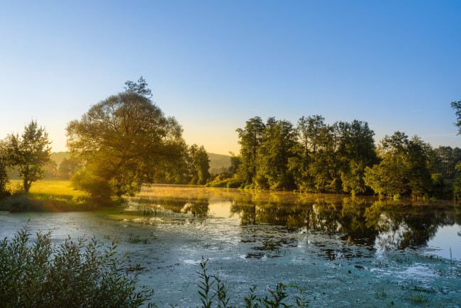 Обои картинки фото природа, реки, озера, река, лес