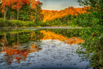 Картинка природа реки озера простор