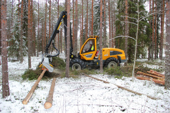 Картинка техника лесоповалочная+техника sampo