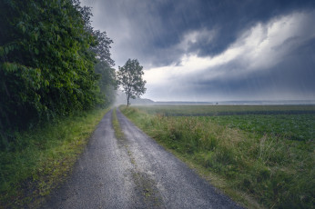 Картинка природа дороги простор