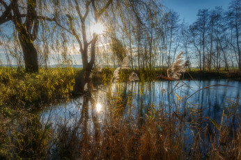 Картинка природа реки озера простор