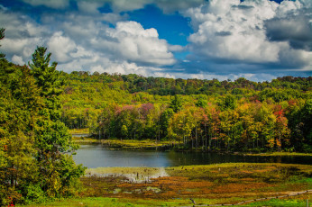 Картинка природа реки озера простор