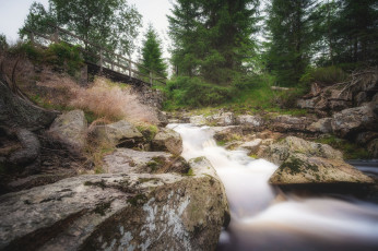 Картинка природа реки озера простор