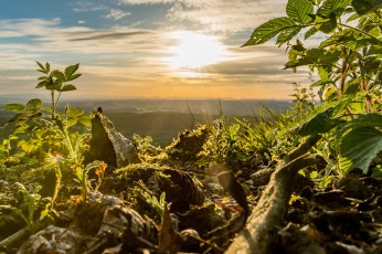 Картинка природа восходы закаты простор