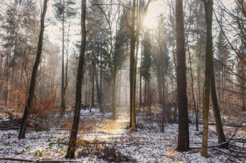 Картинка природа зима простор