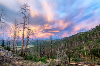 Картинка природа пейзажи простор