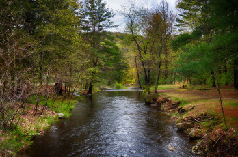 Картинка природа реки озера простор